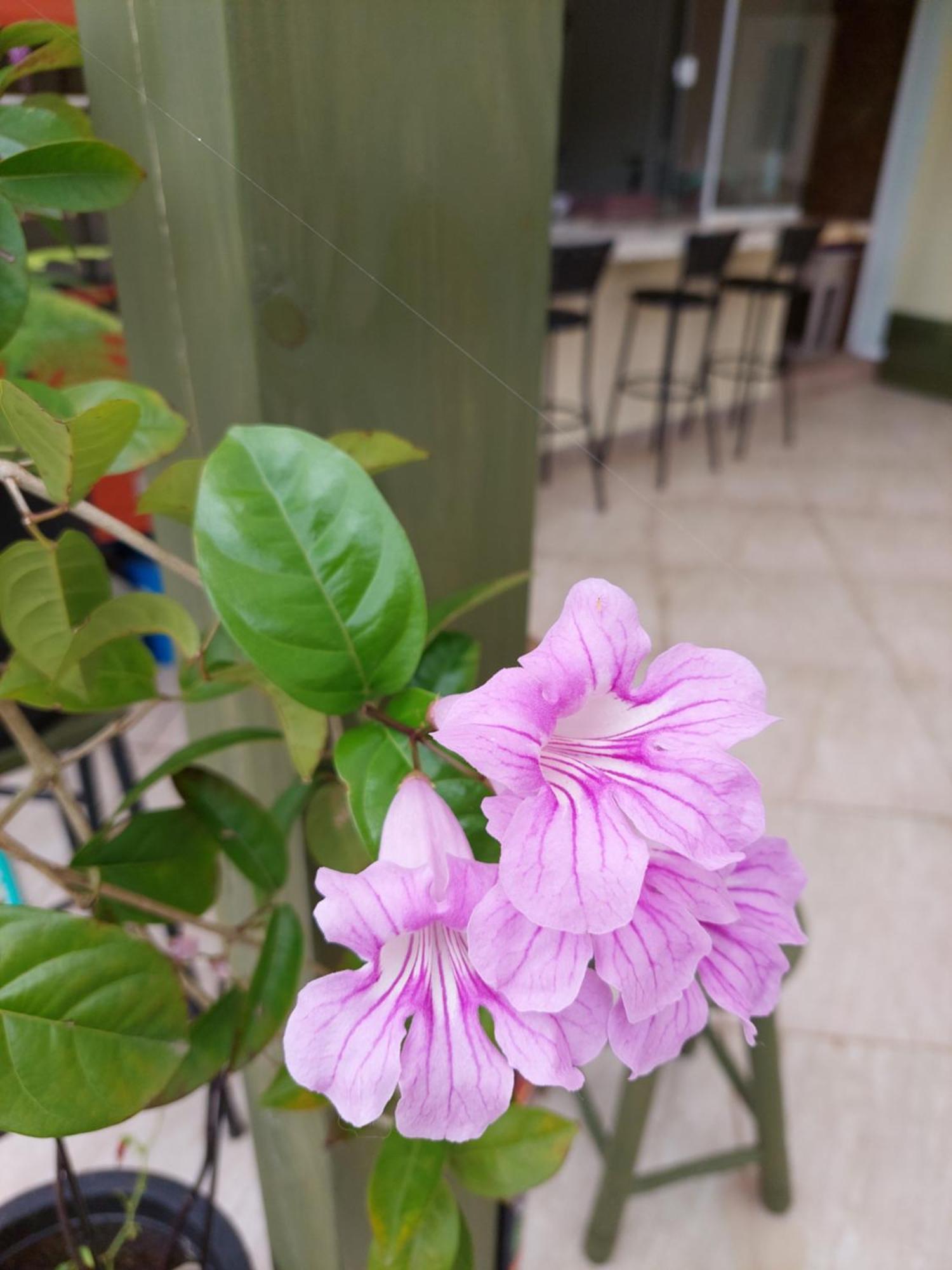 Apartmán Jurere Cobertura 400M Do Mar Vista Linda Florianópolis Pokoj fotografie